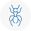 Ant Removals In Lancing