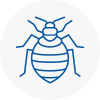 Bed Bug Extermination In Lancing