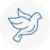 Bird Prevention Lancing