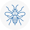 Lancing Hornet Nest Removals
