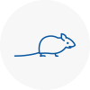 Mice Exterminators In Lancing