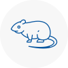 Rat Control Lancing