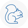 Lancing Rodent Removals
