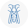 Lancing Wasp Nest Removal